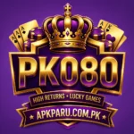 PK080 Game
