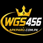 WGS456-Game