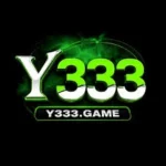 Y333-Game